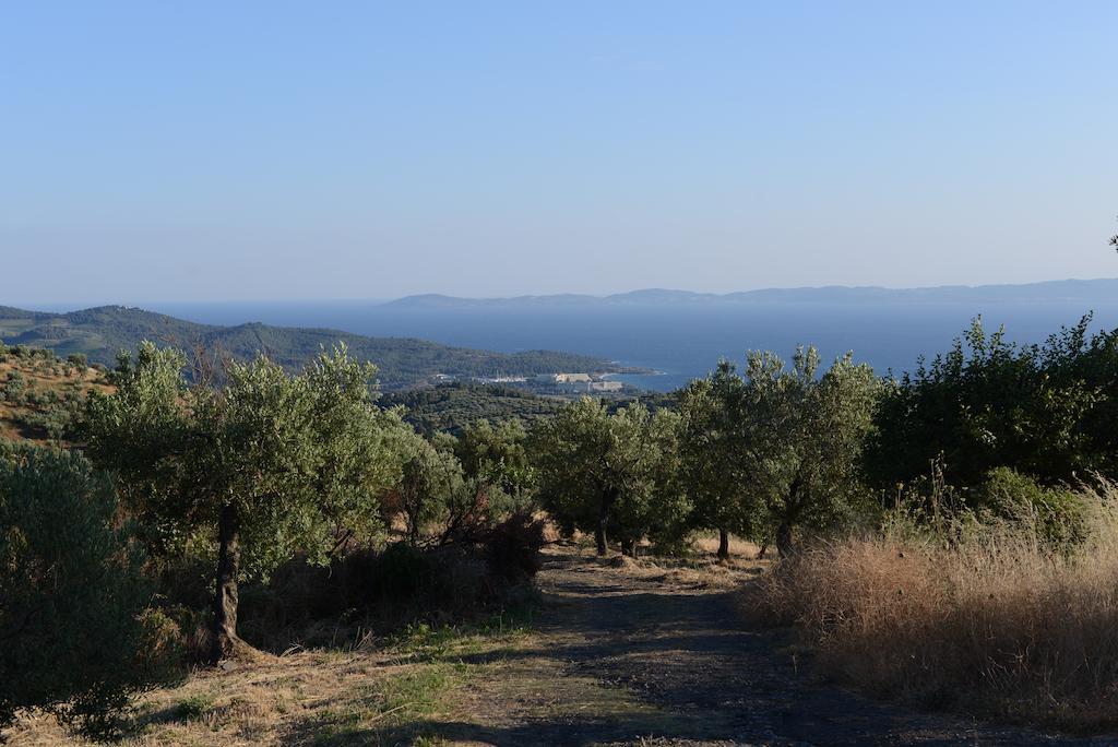 Guesthouse Parthenon Bagian luar foto