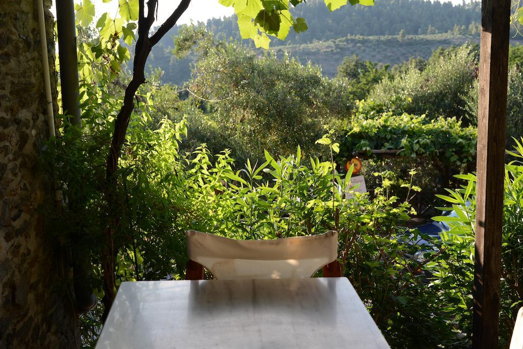 Guesthouse Parthenon Bagian luar foto