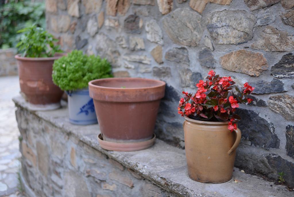 Guesthouse Parthenon Bagian luar foto