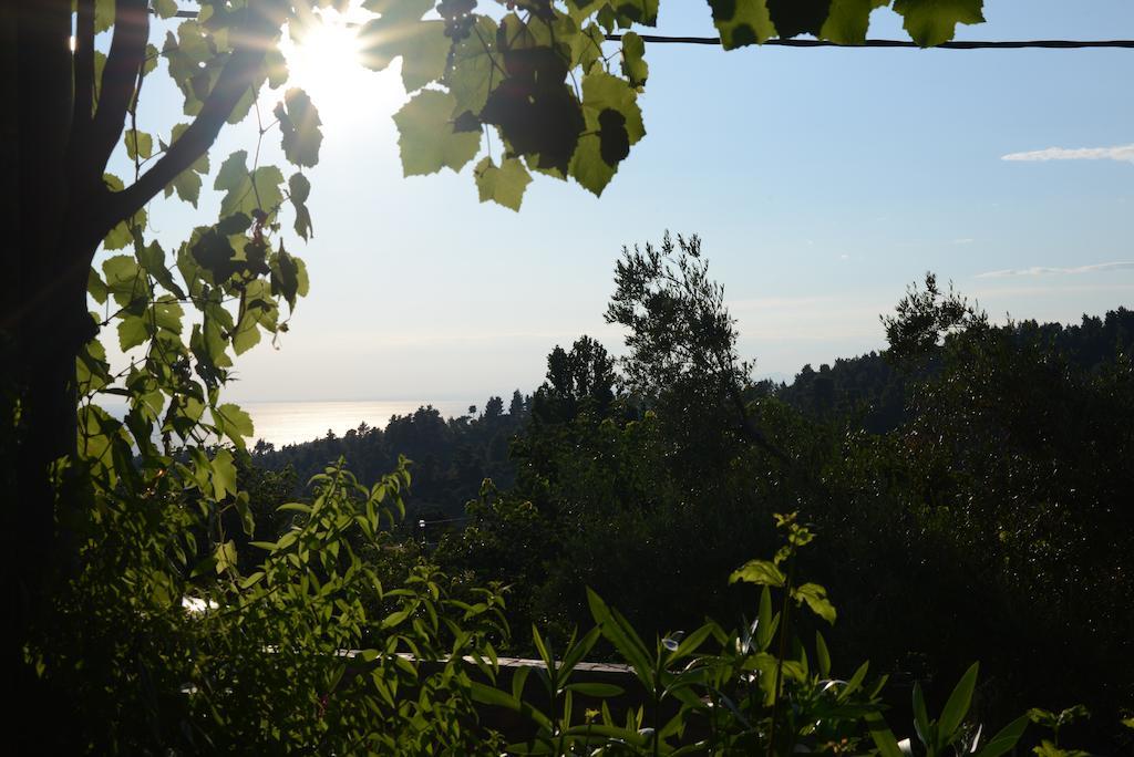 Guesthouse Parthenon Bagian luar foto